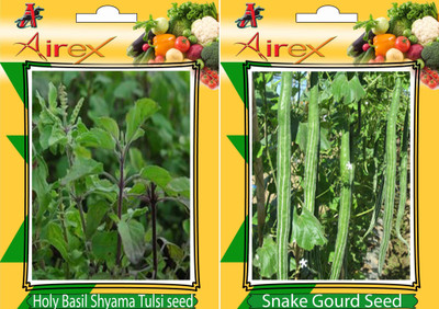 

Airex Holy Basil (Shyama Tulsi), Snake Gourd Seed(20 per packet)