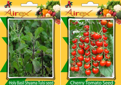 

Airex Holy Basil (Shyama Tulsi), Cherry Tomato Seed(25 per packet)