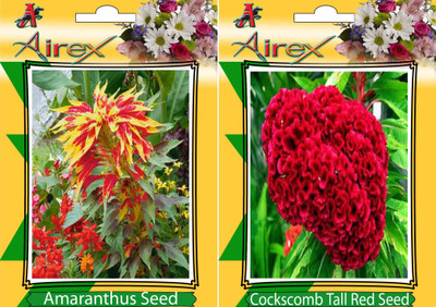 

Airex Amaranthus, Cockscomb Tall Red Seed(15 per packet)