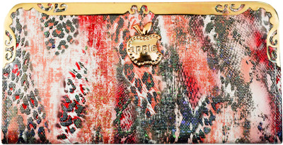 

DREAMSS Enterprise Casual Multicolor Clutch