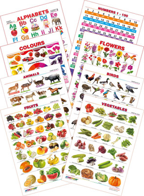 

Spectrum Kid's 1st Learning Charts [S] : Set 28 (English Alphabets, Numbers 1-100, Colours, Flowers, Animals, Birds, Fruits & Vegetables)(Multicolor)