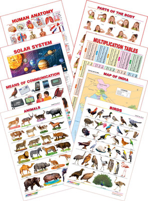 

Spectrum Kid's 1st Learning Charts [S] : Set 30 (Human Anatomy, Parts of the Body, Solar System, Multiplication Tables, Map of India, Animals, Birds & Communications)(Multicolor)