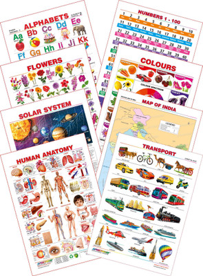 

Spectrum Kid's 1st Learning Charts [S] : Set 27 (English Alphabets, Numbers 1-100, Flowers, Colours, Map Of India, Solar System, Human Anatomy & Transport)(Multicolor)