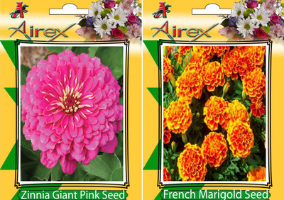 

Airex Pink Zinnia, French Marigold Seed(25 per packet)