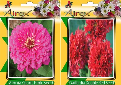 Airex Pink Zinnia, Gaillardia Double Red Seed(20 per packet)