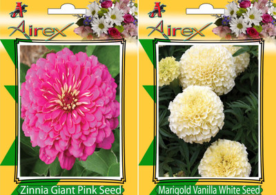 

Airex Pink Zinnia, White Marigold Seed(25 per packet)
