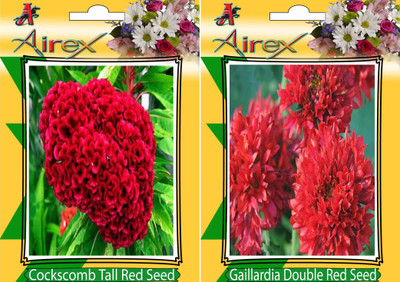 Airex Cockscomb Tall Red, Gaillardia Double Red Seed(25 per packet)