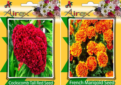 

Airex Cockscomb Tall Red, French Marigold Seed(25 per packet)