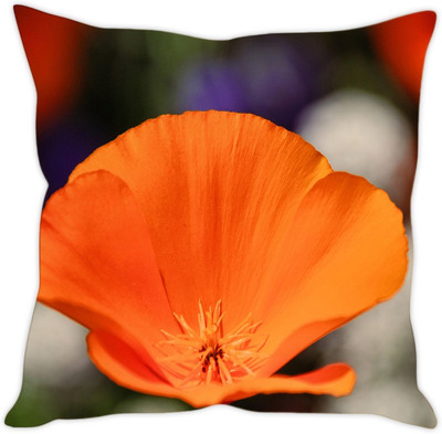 

Sleep Nature's Abstract Cushions Cover(40.63 cm*40.63 cm, Multicolor)