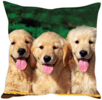 

Sleep Nature's Abstract Cushions Cover(40.63 cm*40.63 cm, Multicolor)