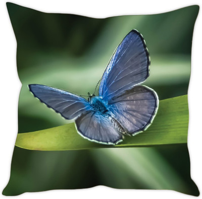 

Sleep Nature's Abstract Cushions Cover(30.63 cm*30.63 cm, Multicolor)