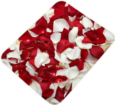 

Clapcart designer-printed-mousepad-0022 Mousepad(Multicolor)