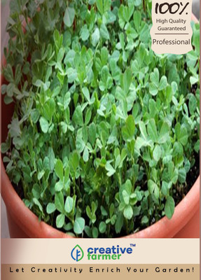 

Creative Farmer Methi Spinach Seeds Seed(100 per packet)