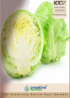 

Creative Farmer Cabbage Seed(100 per packet)