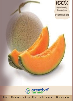 

Creative Farmer Kharbooja Cucumis Melo Hybrid Seeds Seed(20 per packet)