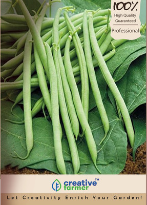 

Creative Farmer French Beans Seeds (Vegetable Seeds) Seed(250 per packet)