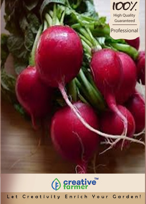 

Creative Farmer Red Colour Radish Plant Seeds Seed(200 per packet)