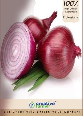 

Creative Farmer Onion Seed(500 per packet)
