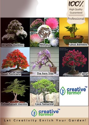 

Creative Farmer Bonsai Combo Seed(10 per packet)