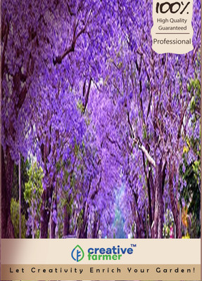 

Creative Farmer Neelkanth Seed(20 per packet)