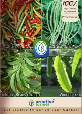 

Creative Farmer Chilly Pepper,Cowpea (Vellayani),Dolichus Beans (Grace),Winged bean Seed(10 per packet)