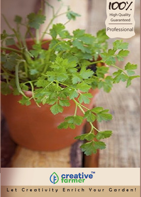

Creative Farmer Coriander Seeds Hybrid Seed(100 per packet)