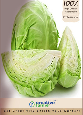 

Creative Farmer Organic Vegetable : Cabbage Seeds Seed(100 per packet)