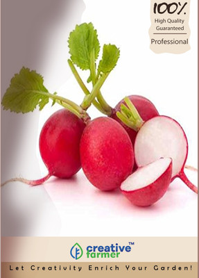 

Creative Farmer Watermelon Red Radish Seeds Seed(200 per packet)