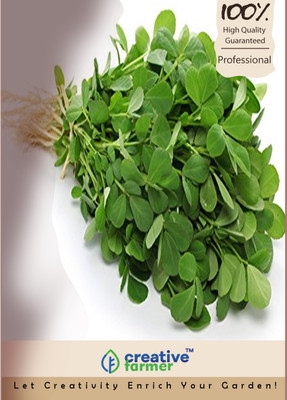 

Creative Farmer Methi Vegetable Seeds Seed(100 per packet)
