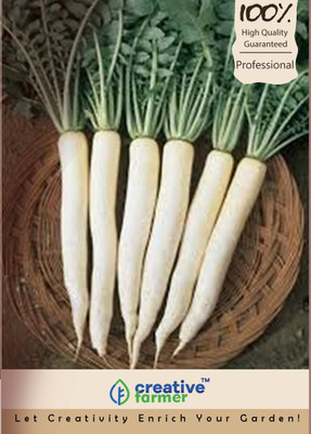 

Creative Farmer Long Radish Seeds (White) Seed(100 per packet)