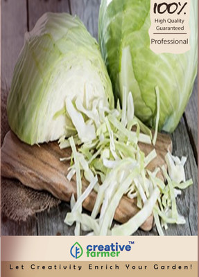 

Creative Farmer Cabbage Seed(200 per packet)