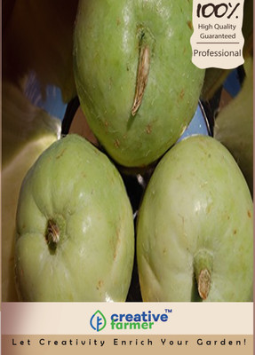 

Creative Farmer Round Melon Seeds Seed(20 per packet)