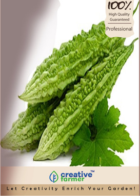 

Creative Farmer Bitter Gourd Seed(10 per packet)