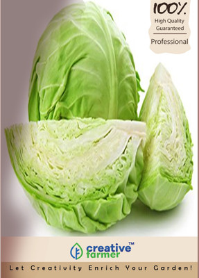 

Creative Farmer Cabbage Seed(100 per packet)
