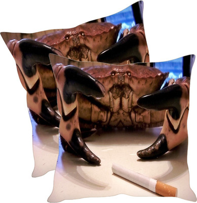 

Sleep Nature's Printed Cushions Cover(Pack of 2, 40.63 cm*40.63 cm, Multicolor)