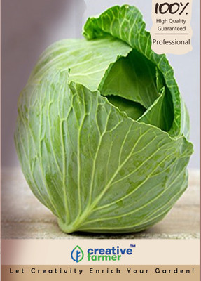 

Creative Farmer Cabbage Seed(100 per packet)