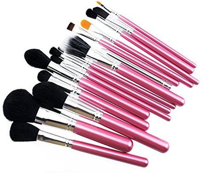 

Rioa Professional Makeup Brushes Set Powder Foundation Eyeshadow Eyeliner Lip Brush Tool (pink--silver)(Pack of 15)