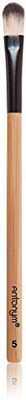 

Antonym Cosmetics Professional Concealer Brush(Pack of 1)