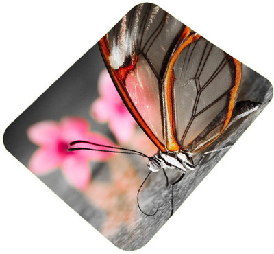 

Clapcart designer-printed-mousepad-0005 Mousepad(Multicolor)