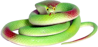 

Homeshopeez Rubber Snake - Grn(Green)