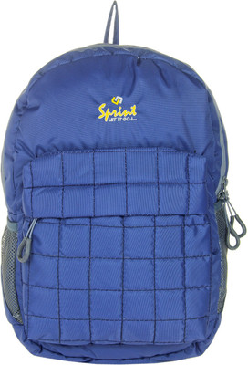 

JG Shoppe JGBPChecks 12 L Backpack(Blue)
