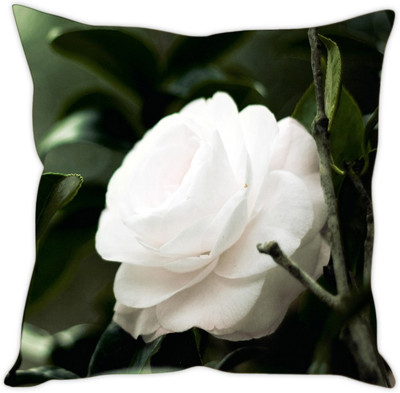 

Sleep Nature's Abstract Cushions Cover(40.63 cm*40.63 cm, Multicolor)
