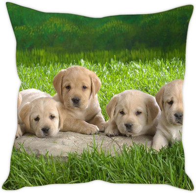 

Sleep Nature's Printed Cushions Cover(30.63 cm*30.63 cm, Multicolor)