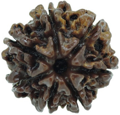 AJ 7 Mukhi Rudraksha Pendent Silk Dori