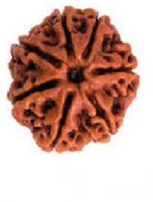 AJ 7 Mukhi Rudraksha Pendent Silk Dori
