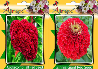 

Airex Cockscomb Tall Red, Red Zinnia Seed(20 per packet)