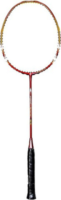 

APACS Blizzard 2100 Blue, Red Unstrung Badminton Racquet(G4 - 3.25 Inches, 830 g)