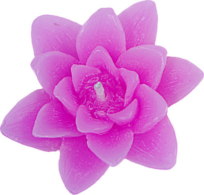 

Virgo Creations Nilofer-Megenta Tea Rose Candle(Purple, Pack of 3)