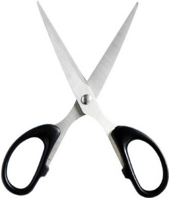 

Dexean Stainless Steel All-Purpose Scissor(Black)