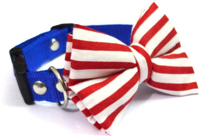 

That Dog In Tuxedo Red Nautical Stripes Dog Everyday Collar(, Blue